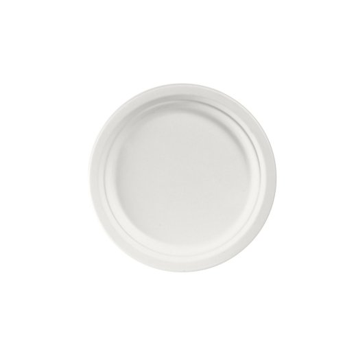 Bagassilautanen Biopak 22 cm valkoinen 50kpl, hinta 13,31€