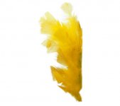 Höyhenet Playbox 11-17 cm keltainen /48