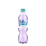 Kivennäisvesi Novelle Plus mustikka+karhunvatukka 0,5L