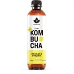 Kombucha Puhdistamo inkivääri-sitruuna 400 ml (ei sis. pant)