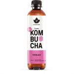 Kombucha Puhdistamo vadelma 400 ml (ei sis.pantti)
