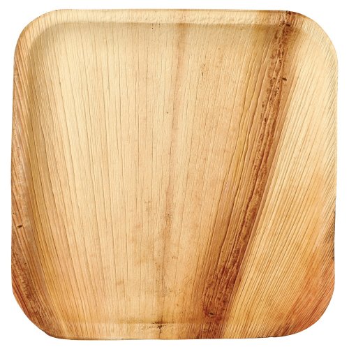 Lautanen papstar suorak. palmu 25.5 25kpl, hinta 20,87€