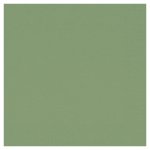 Lautasliina Duni 24 x 24cm kiwi 300kpl