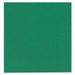 Lautasliina Gastro 24 x 24 cm 2-krs vihreä /100