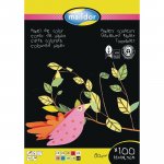 Lehtiö a4 80g värilajitelma, 100 arkkia