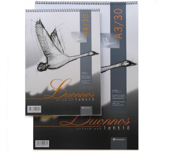 Luonnoslehtiö Paperipiste A3/30 100G, hinta 11,22€