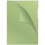 Muovitasku Q-CONNECT A4 120 mic PP app. vihreä LPS /100