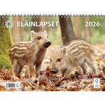 Seinäkalenteri 2026 Ajasto eläinlapset 290 x 420mm