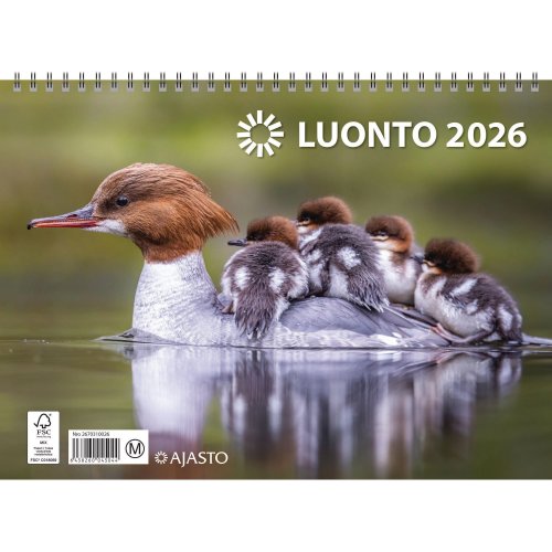 Seinäkalenteri 2026 Ajasto luonto 290 x 420mm, hinta 27,26€
