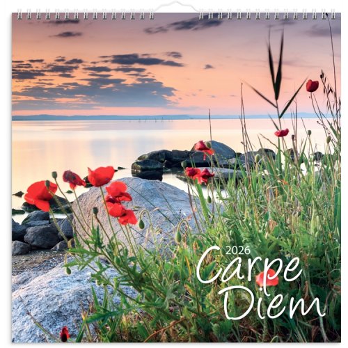 Seinäkalenteri 2026 Carpe Diem, hinta 15,03€