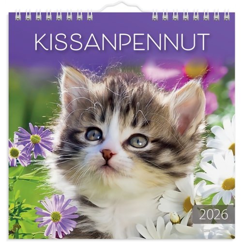 Seinäkalenteri 2026 Kissanpennut, hinta 10,58€