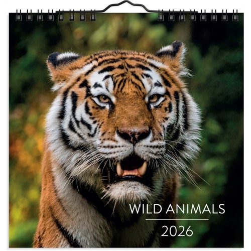 Seinäkalenteri 2026 Wild animals, hinta 10,58€