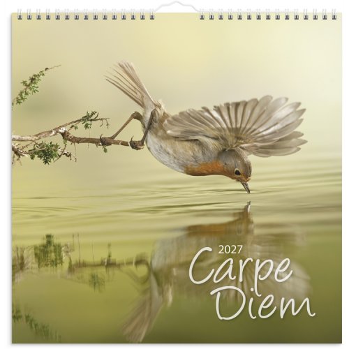 Seinäkalenteri 2027 Carpe Diem, hinta 15,47€