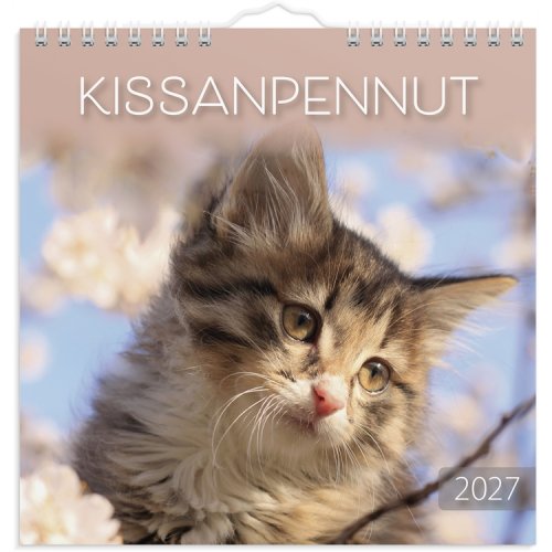 Seinäkalenteri 2027 Kissanpennut, hinta 10,90€