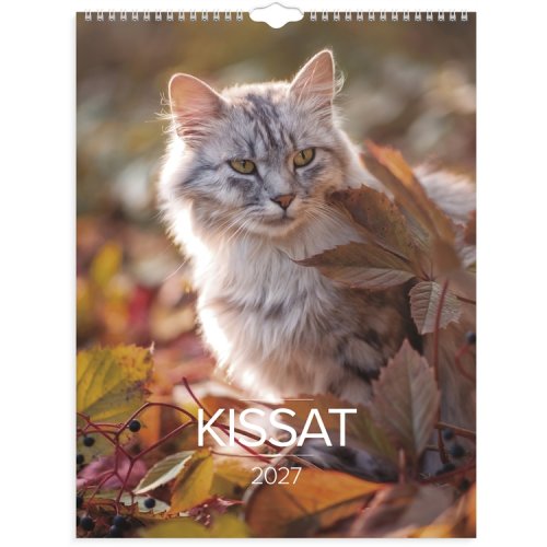 Seinäkalenteri 2027 Kissat, hinta 12,50€