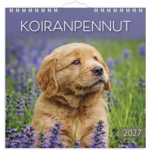 Seinäkalenteri 2027 Koiranpennut, hinta 10,90€