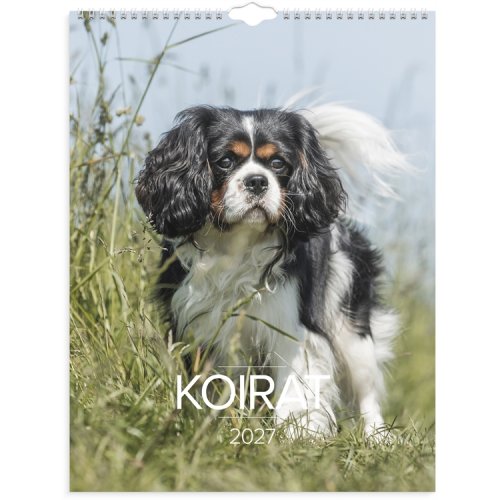 Seinäkalenteri 2027 Koirat, hinta 12,50€