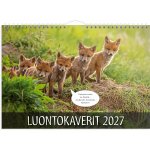 Seinäkalenteri 2027 Luontokaverit