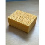 Taulusieni Visella Isoimu