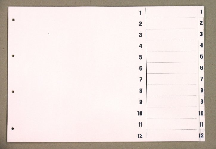 Välilehti A3B kartonki vaakamalli 12-osainen, hinta 6,80€