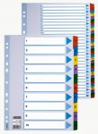Välilehti Esselte Mylar A4 12-osainen värillinen