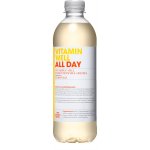Vitamiinivesi Vitamin Well All Day 500 ml (ei sis. panttia)