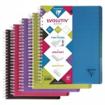 Vihko Clairefontaine linicolor a4+/90 5 x 5 ruudut